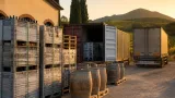 Export del vino veneto rallenta: valore 2025 a 2,93 miliardi e primo semestre 2026 -8,4%